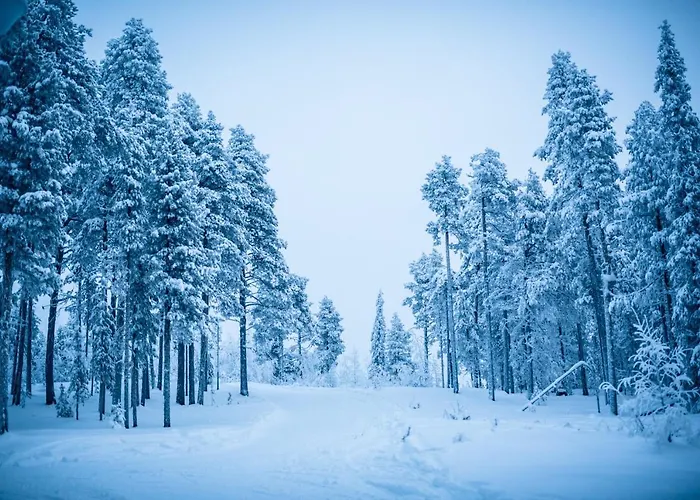 酒店 Jeris Lakeside